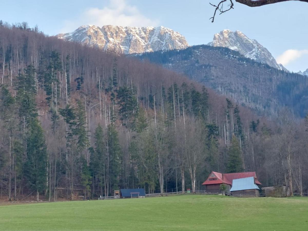 Apartament 3 Strazyska 21A Zakopane Ngoại thất bức ảnh